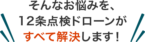 そんなお悩みを、12条点検ドローンがすべて解決します！